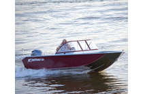 2 - Gold Fisher 520 DCM FISH 