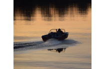 20 - Gold Fisher 520 DCM FISH 