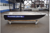 18 - Wyatboat-390РМ 